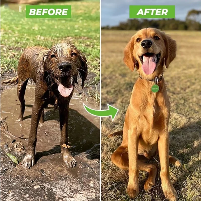 Adjustable Pet Shower Sprayer